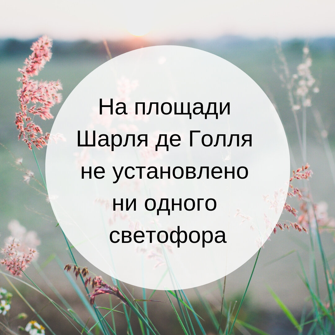 Проверьте свои знания: найдите 7 достоверных фактов о Париже | Литл Биг  Trip | Дзен