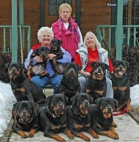 "Хозяйки этого дома не закрывают дверь на замок. Интересно почему?"