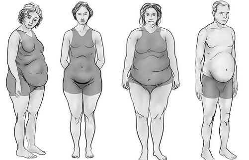 • Накопление лишнего жира, во многом зависит от типа фигуры, к примеру, у девушек, чья фигура относится к типу «груша», жир откладывается в нижней части тела (ягодицы и ноги), а у девушек с типом фигуры «яблоко» все скапливается в верхней части тела (грудь, руки и живот).