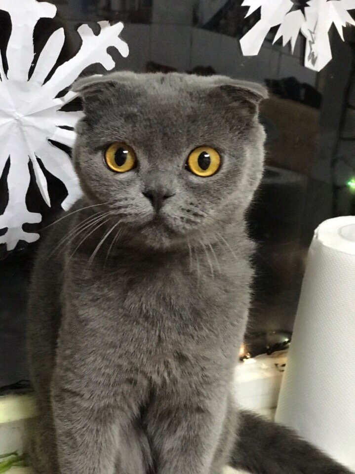 Когда не успел скрыть следы преступлений)