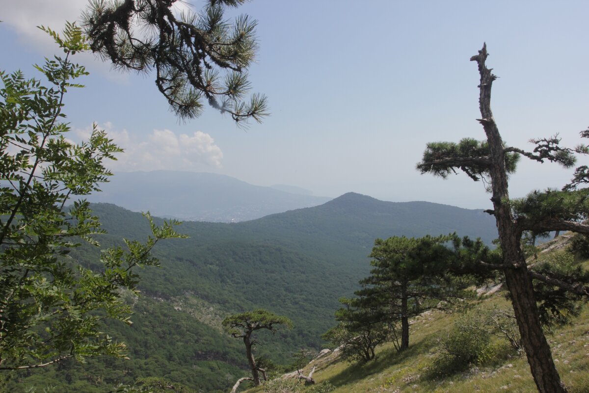                                                                         Вон она, самая дальняя
