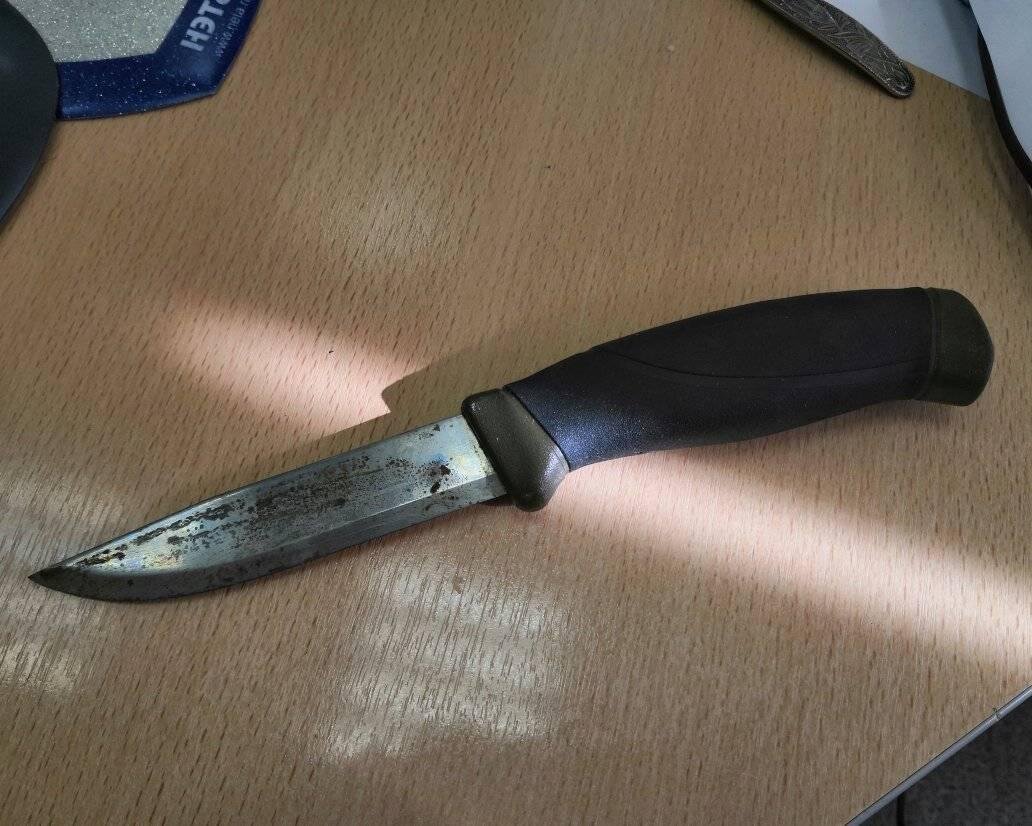 Таскаясь по походам и прочим поездкам вне цивилизации все больше и больше понимаешь истину, что лучший нож это тот который можно использовать всегда, везде и в разных ситуациях :-) Купил например ты какой нибудь крутой Steel Will тысяч за 10. Хороший, надежный, пипец коррозионо устойчивый....Все отлично!
Пошел такой в поход или еще куда....и тут...

- Открой банку тушенки!
- Не могу открывашку не взяли (легко)
- Ну так у тебя нож есть!
- И что? я его об банку портить не буду, выводи потом еще лезвие.

- Разрежь проволочку плиз
- чем? у меня плоскогубцев нет
- Так ножом!
- Ты чего, поврежу же его.

- аааааа...ё мое потерял....

Ну и так далее....

А когда у тебя на поясе болтается недорогая к примеру Мора, ты не паришься. Повредил лезвие? - да и фиг с ним. 
Заржавел? - да и фиг с ним. 
Потерял? - да не беда, новый куплю. 
Вот и получается, что дорогой и качественный нож при реальном использовании в походных условиях скорее усложняет жизнь хозяина и в итоге кроме как для нарезания колбаски не используется. Зато дешевый (ну конечно относительно) и не обязательно презентабельный ножичек приносит хозяину раздолбаю облегчение во многих ситуациях и отбивая свою небольшую цену сторицей, пусть и погибая раньше своих дорогих собратьев :-)

Я конечно не говорю, что хорошие ножи брать не надо, но лично мое мнение - основное назначение ножа быть полезным когда это необходимо, а когда полезность его лимитируется его ценой...ну как бы....хотя для души можно и нужно :-D

Да....вот такое у меня потребительское отношение к ножам :-)