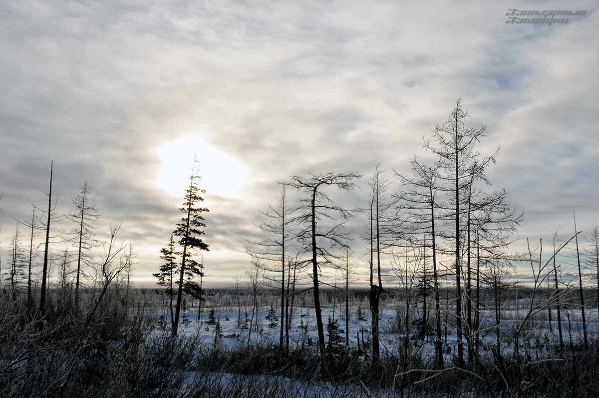 Октябрь — время когда на Север приходит зима. Здесь еще есть место краскам и полутонам, но скоро солнце уйдет за горизонт и мир поблекнет, выцветет до черно-белого состояния