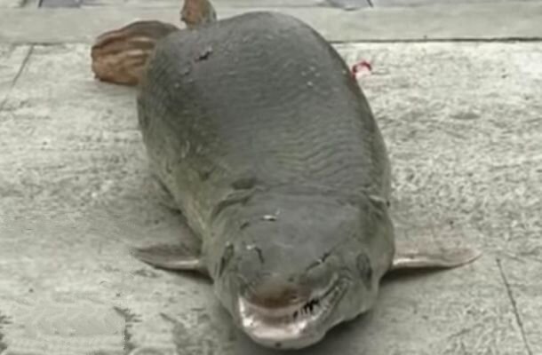 Источник: youtube com