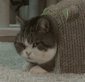 -13
