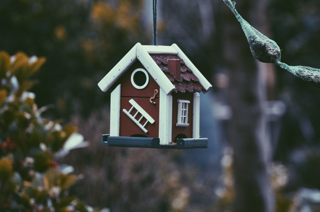 Фото: https://unsplash.com/photos/0yfWDwHOB0g