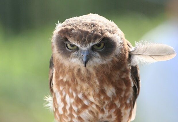 Обидчивость - индивидуальное свойство человека и от пола не зависит