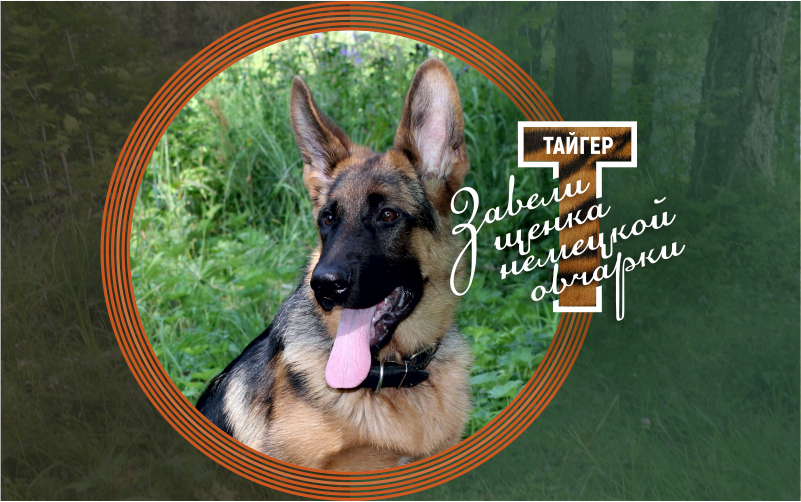 5 августа 2019 года, понедельник