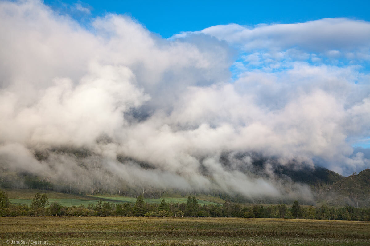 Республика Алтай, отроги Теректинского хребта