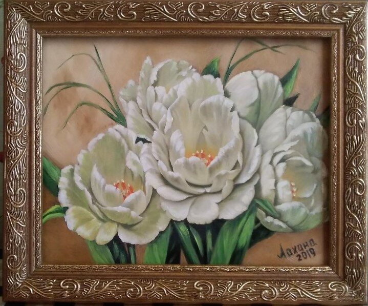 Белые тюльпаны