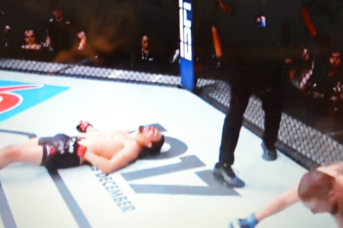 Стивен Питерсон нокаутировал Мартина Браво с одного удара.