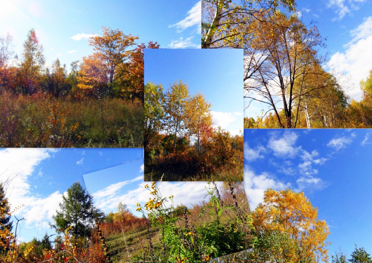 Осень(фото автора)