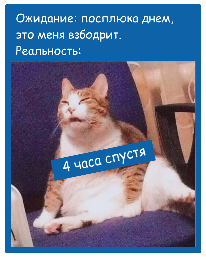 Оформление мема - "Дземчик".