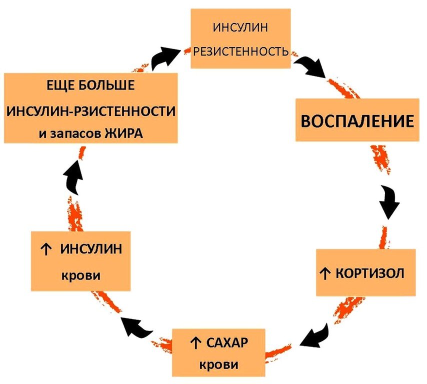 Из интернета 