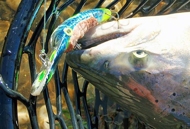 Усиленная носовая лопатка воблеров с заглублением от компании Yakima Bait конструктивно рассчитана на ударные нагрузки о каменистое дно. 