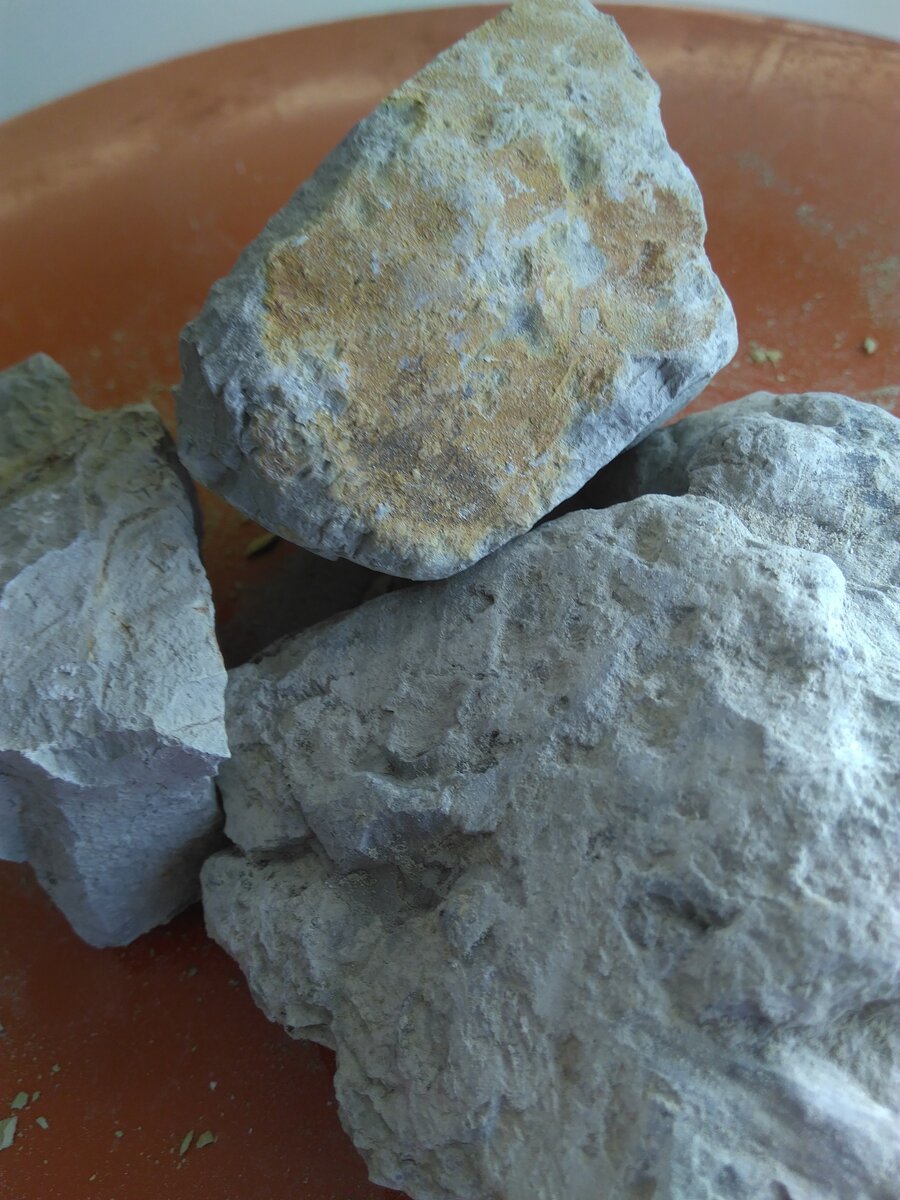 фото из доступных источников