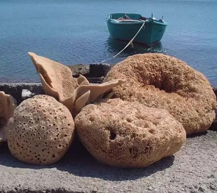 Греческие морские губки