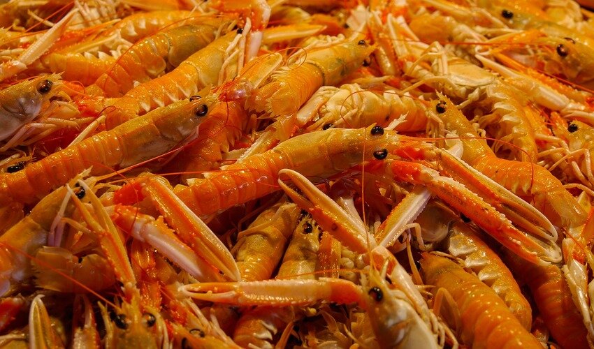 Фото: pixabay.com