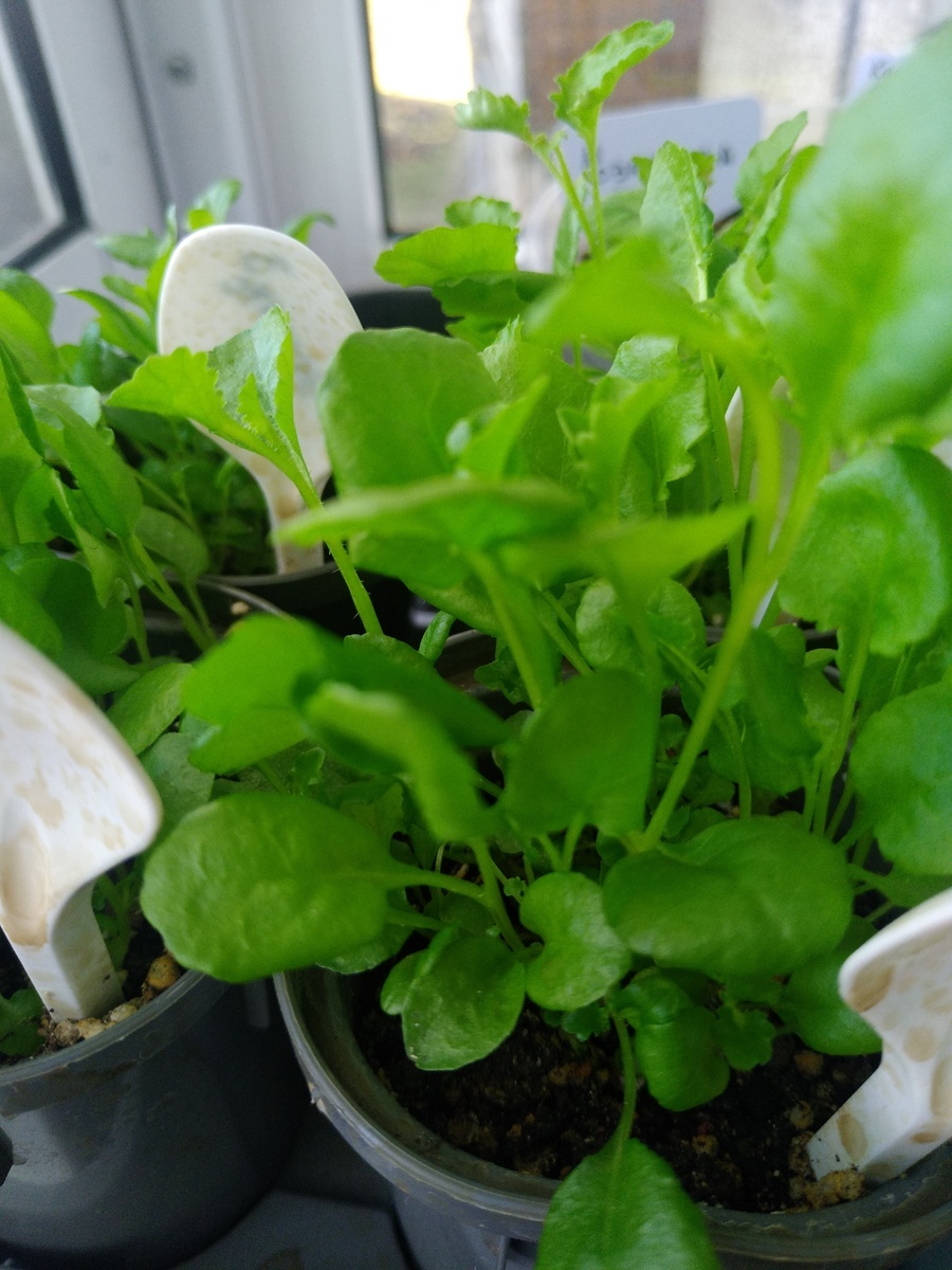 Листаем галерею ;)