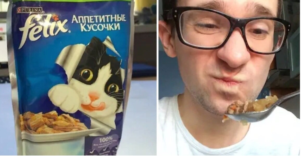 Дома закончилась еда? Не беда, если есть она у кота.... Фото взято с сайта obozrevatel.com