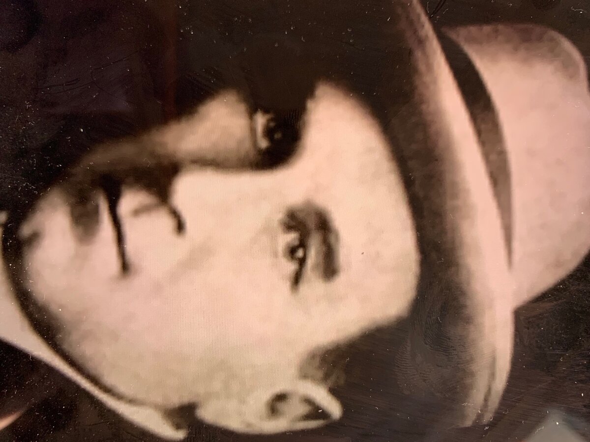 Абрикосов Дмитрий Иванович
