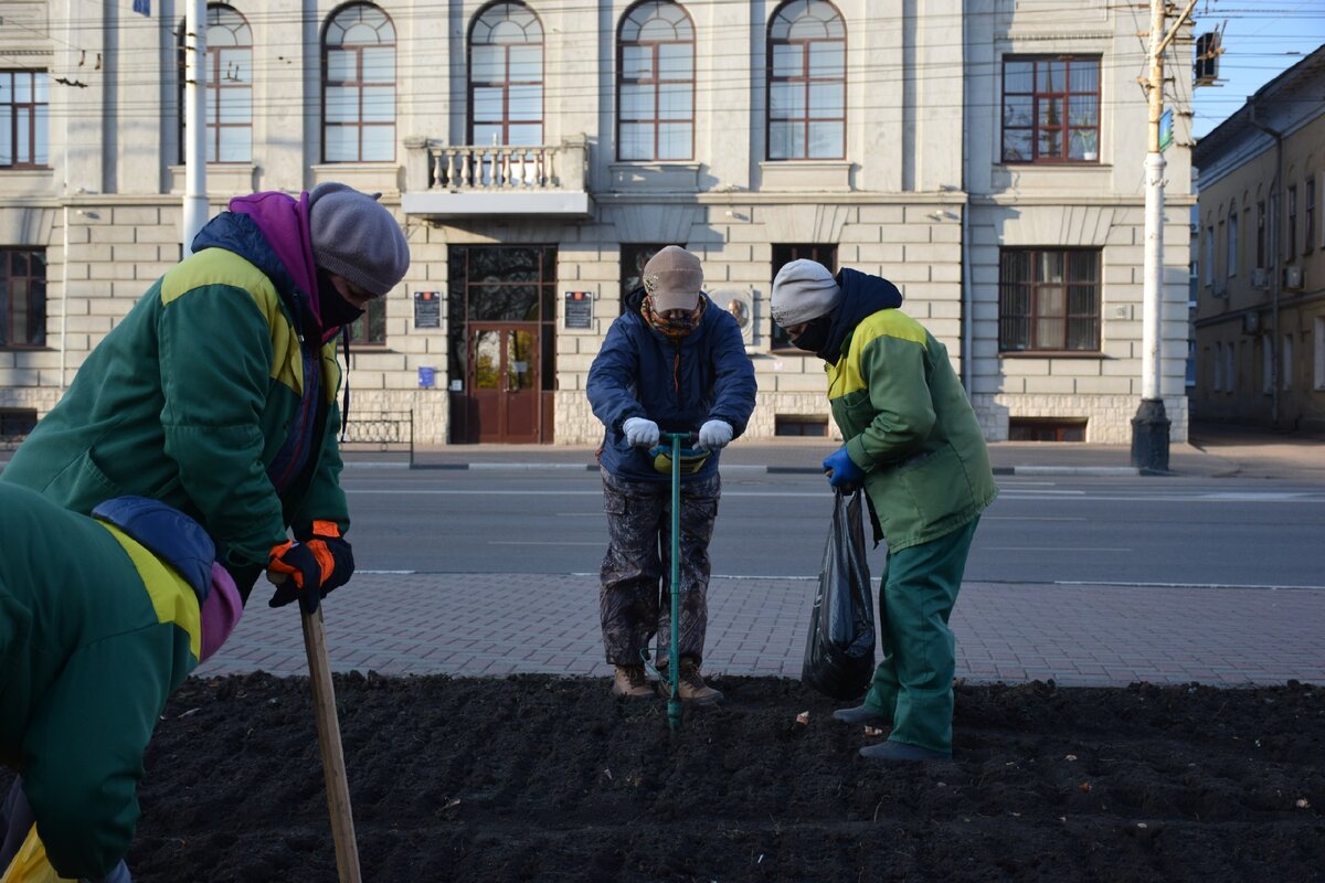 4 города России, где больше всего пенсионеров | Путешествия плюшевого мишки  | Дзен