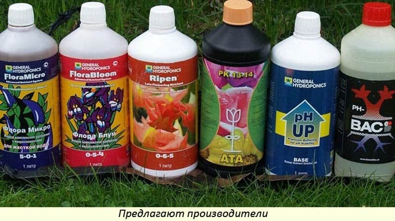 Источник: Яндекс.Картинки 