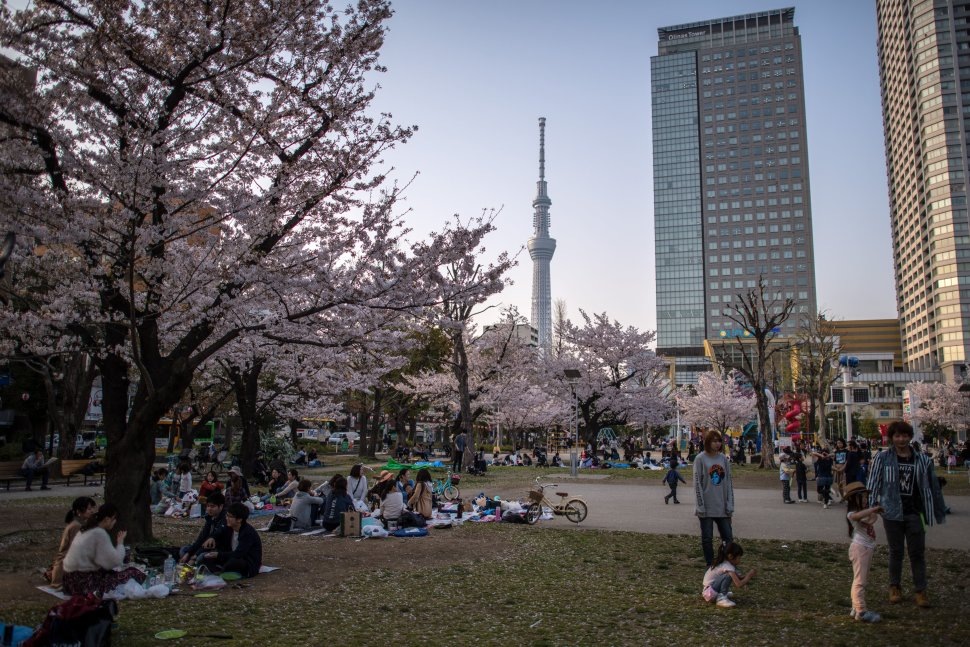 Люди отдыхают в парке в Токио (CARL COURT / GETTY IMAGES)
