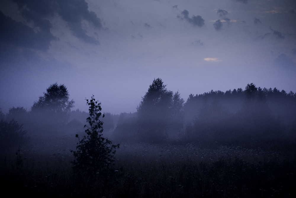 Сумрак. Сумрак в тумане. Лес сумрак. Предрассветный сумрак. Предрассветной темноте