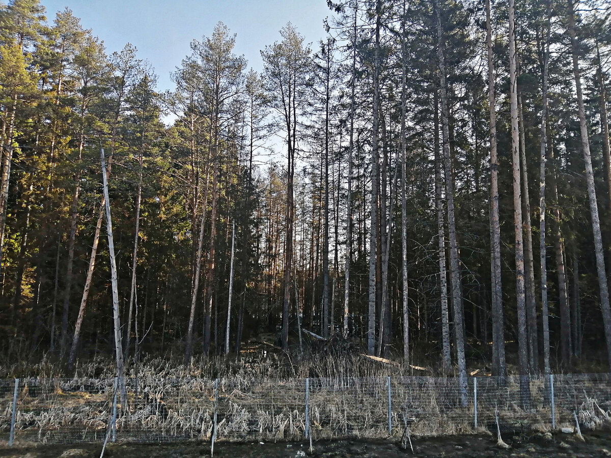 М11 "Нева" Где-то под Москвой