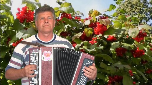 Ой калина дилижанс