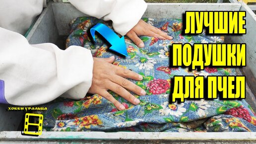 Зачем пчёлам нужны подушки? | Записки Пчеломаньяка | Дзен