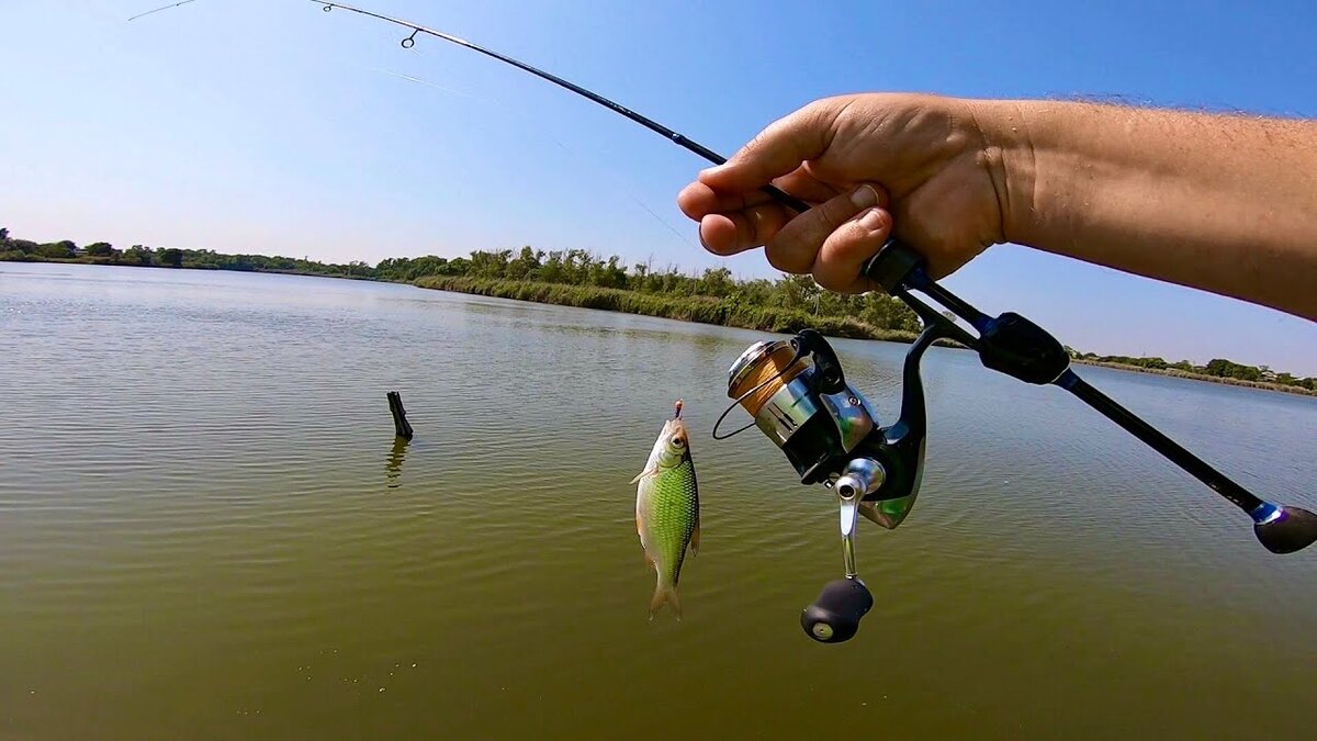Фото из открытых источников "Яндекс картинки"