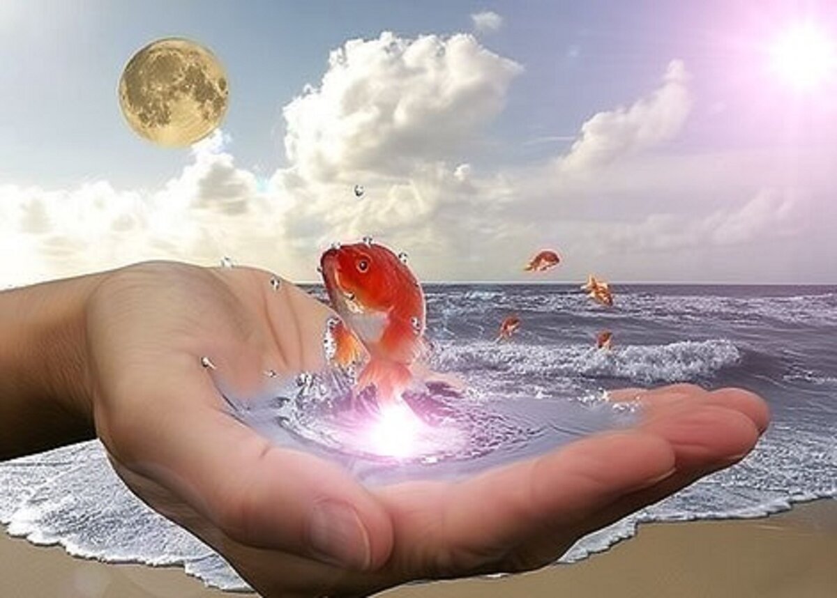 Яндекс картинки sunhome.ru