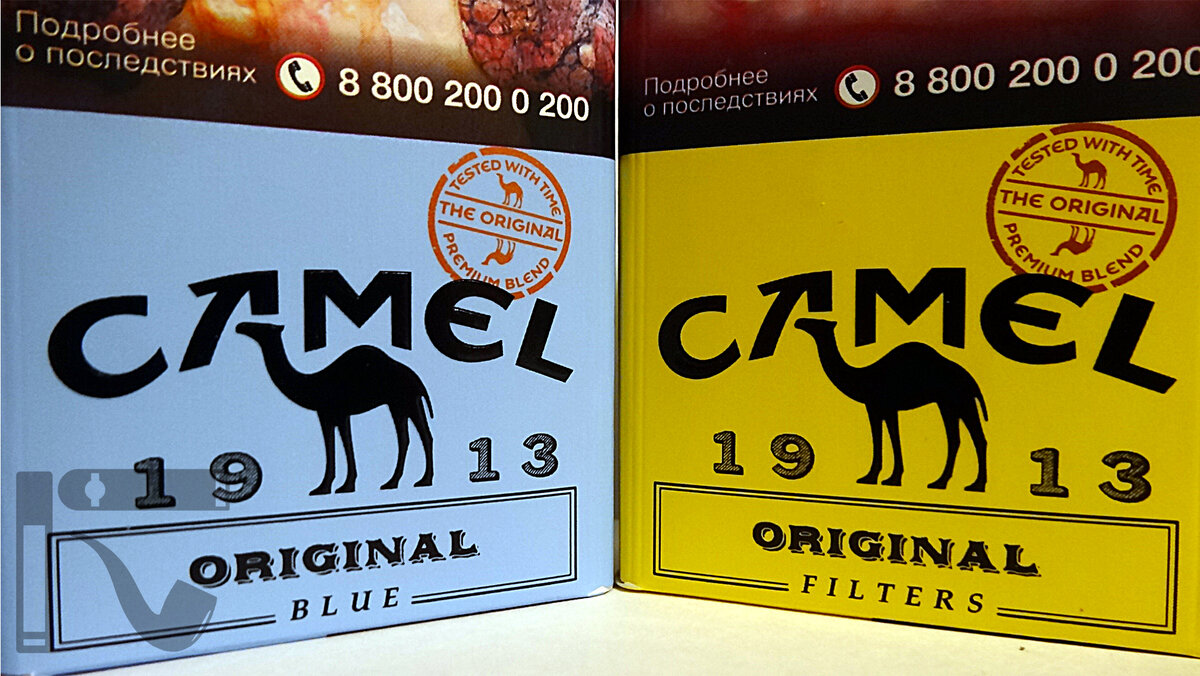 Camel original shop