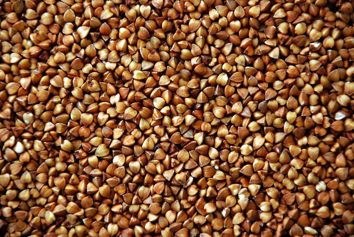 Гречка. Источник - Яндекс.Картинки 