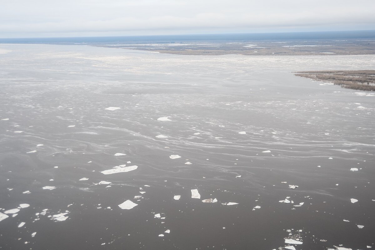 Фото реки Лена во время весеннего половодья. Взято из интернета.