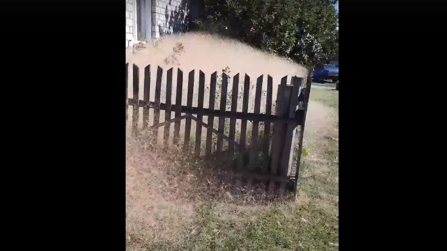    Фото и видео – группа «Подслушано Сафакулево «Курганская область» в ВКонтакте
