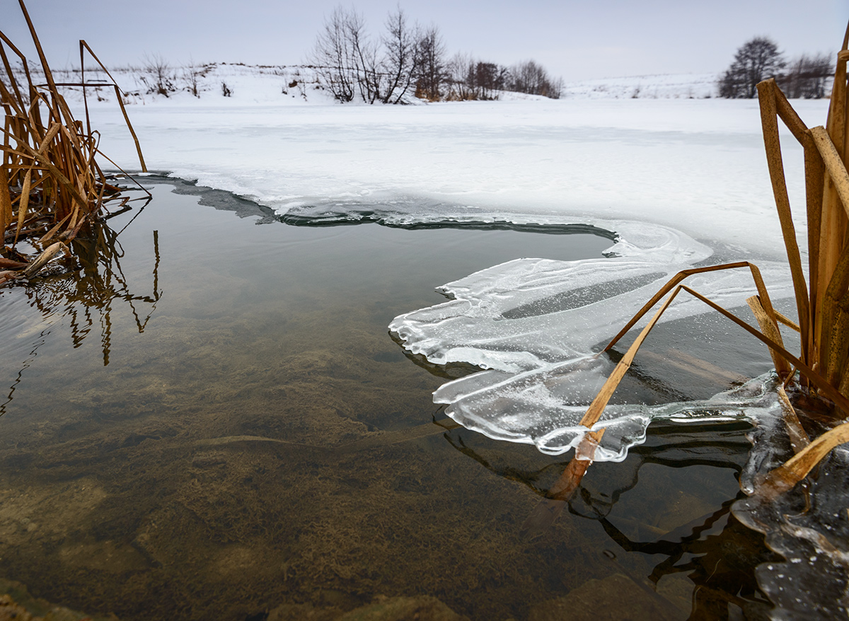 Два различных состояния воды — твердое (лед) и жидкое (вода).