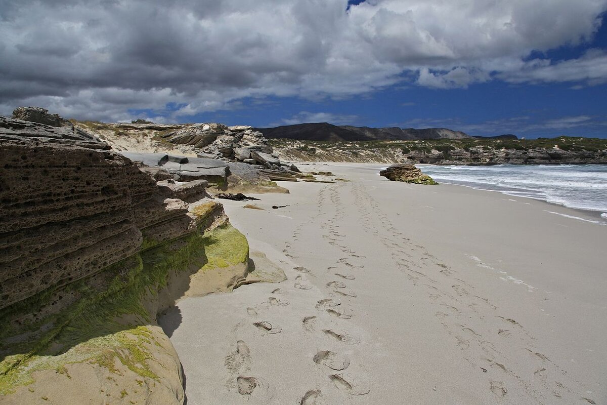 Источник: https://clck.ru/sdKeJ