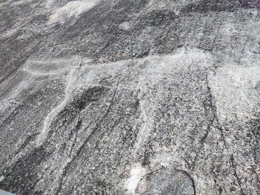 Петроглифы на Белом море музей,Карелия