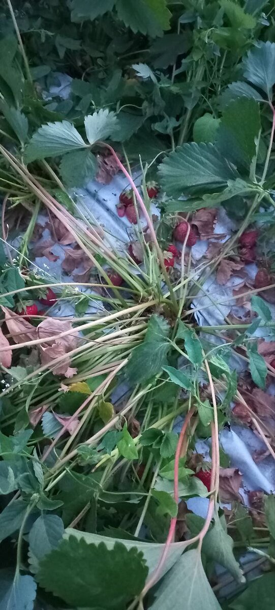 На фото яркий пример как это выглядит.