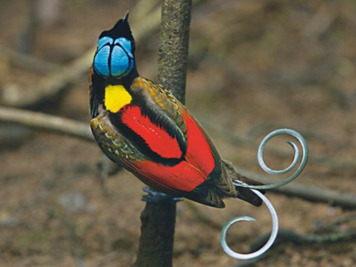 Изображение взято с сайта allpozitive.ru