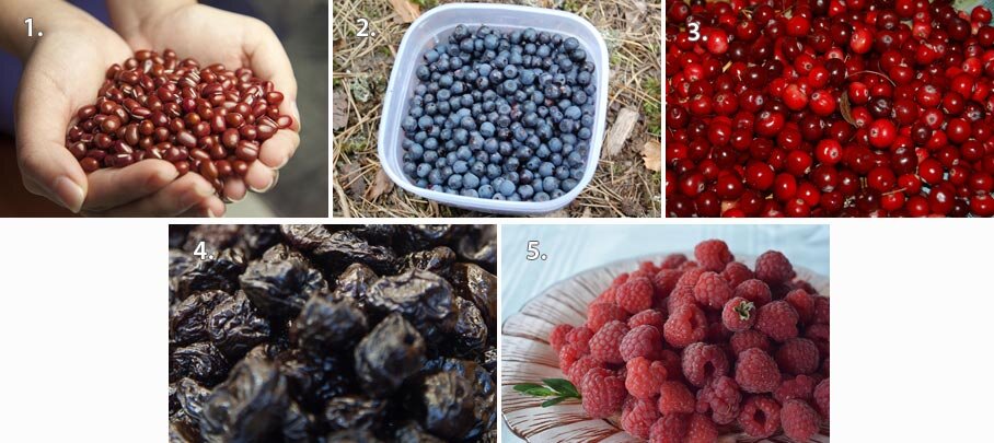 Фото для коллажа с сайтов: www.flickr.com, ru.wikipedia.org, pixabay.com