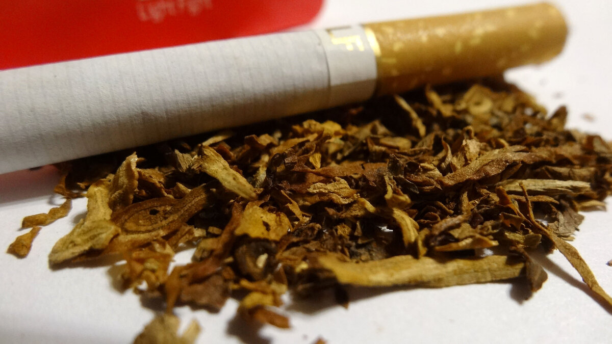 сигареты с фольгой. болгарские сигареты шипка в ссср. сигареты цитадель. сигареты перекур армейские. сигареты калининградской табачной фабрики.