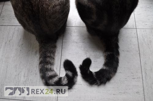 Фото: fb.ru