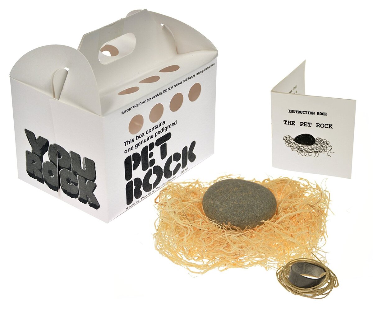 Pet Rock (камень-питомец) (продается за 20$ и люди готовы платить). Люди по всему миру заводят каменных питомцев и ухаживают за ними (по инструкции). Как Вам такое ! Кто это придумал - мультимилионер ! 