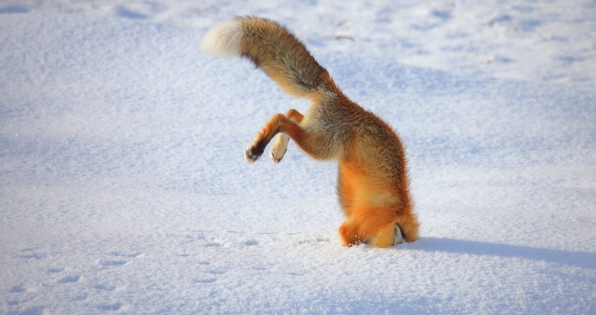 Фото: thequestion.ru