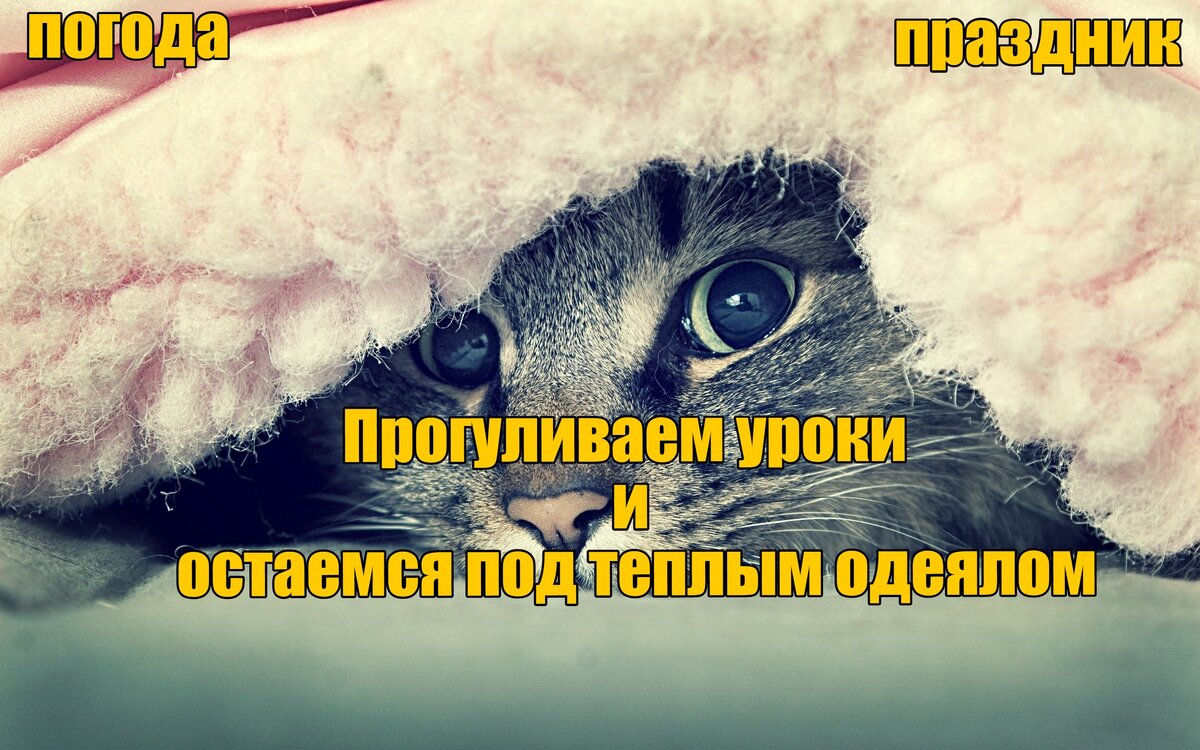 домашний уют. кровать. день теплого одеяла.