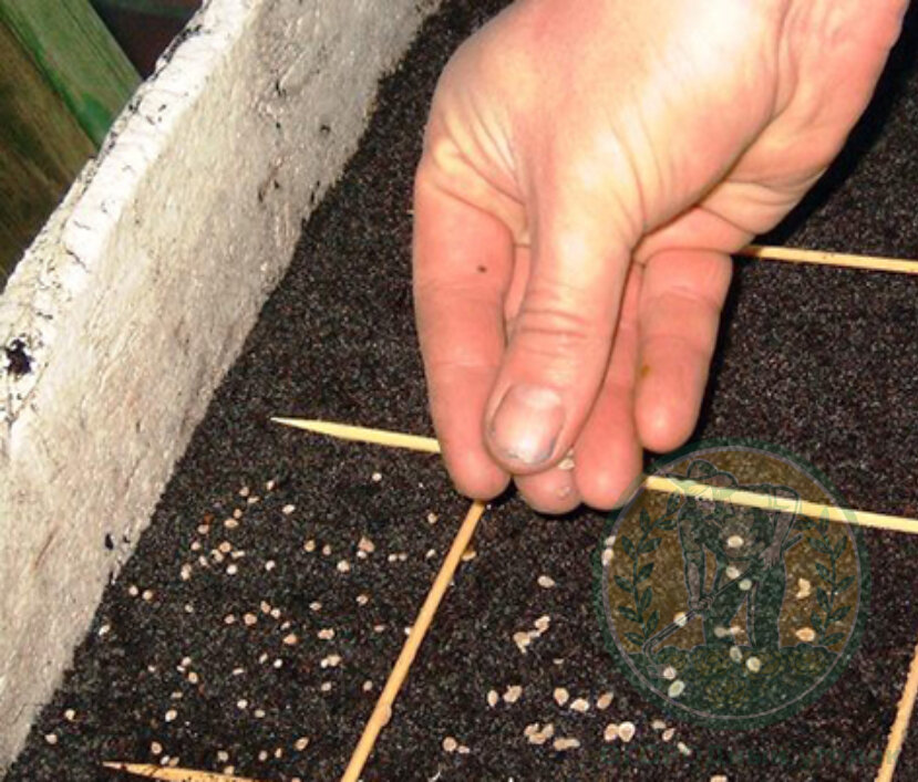 Понравилась статья? Не скупись, поставь лайк!)